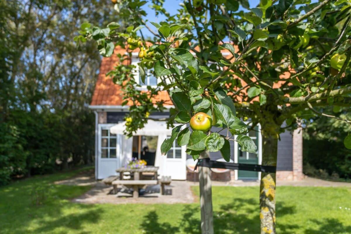 Het Kleine Huis At Buitenplaats Zeeuwse Liefde Westkapelle Exteriér fotografie
